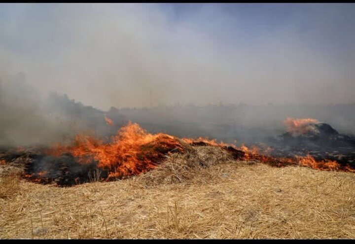 کشاورزان از آتش زدن بقایای گیاهی مزارع خودداری کنند