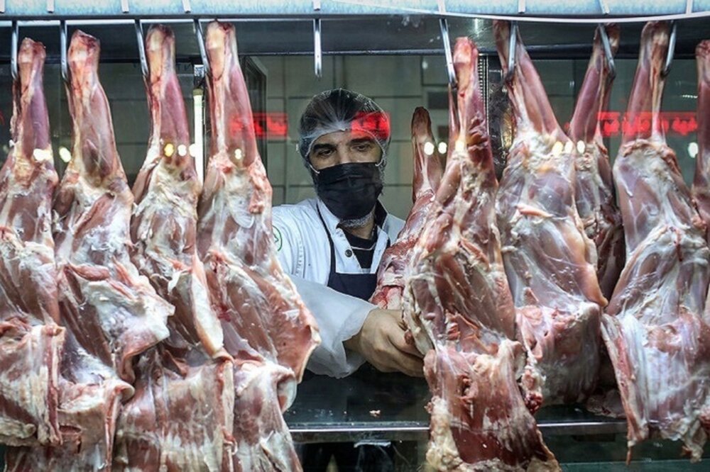 توزیع ۱۰ تن گوشت گرم قرمز وارداتی در کردستان