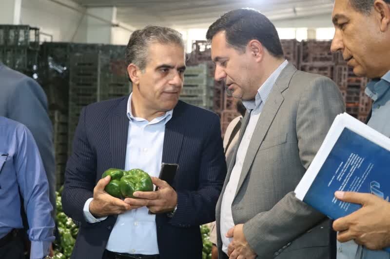 کاهش هزینه تولید برای کشاورز با توسعه صنایع تبدیلی امکان پذیر است