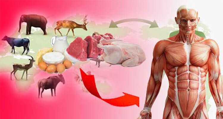 با بیماری های مشترک بین انسان و دام آشنا شوید