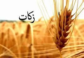 تحقق ۸۱ میلیارد تومان زکات در زنجان
