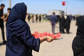 گزارش تصویری راهپیمایی جاماندگان اربعین در سیرجان