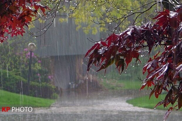 آسمان کردستان باران می شود