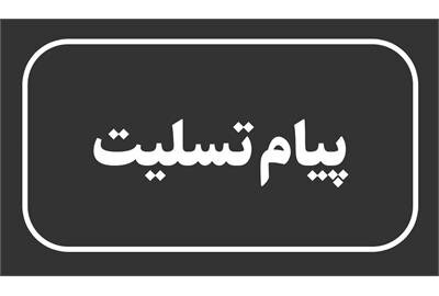 پیام وزیر تعاون کار و رفاه اجتماعی در پی شهادت «یحیی السنوار»