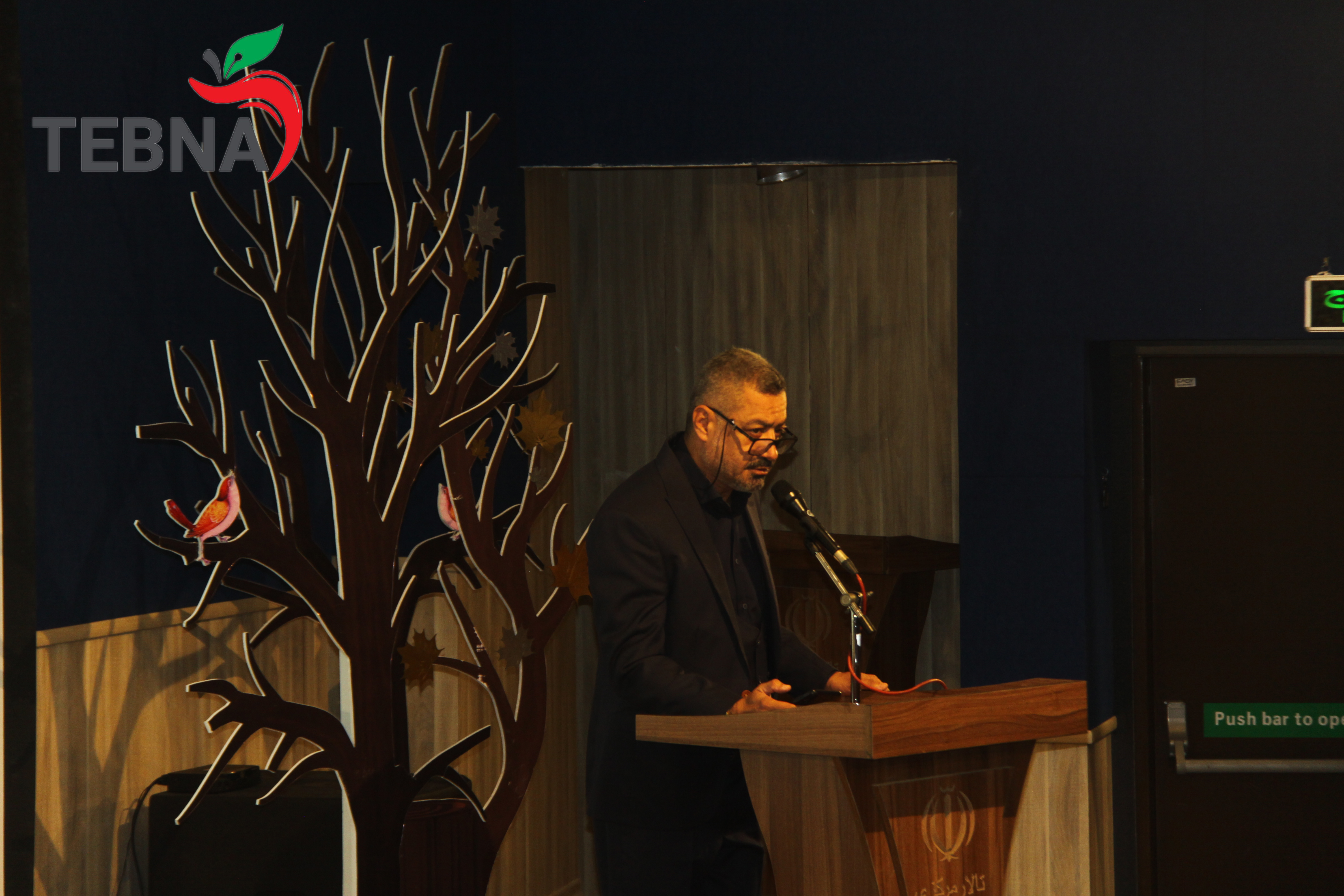 عصر شعر میرزا