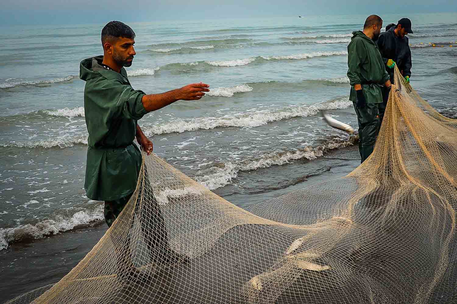 صیدهای غیرمجاز در خزر، چالشی جدی برای ذخایر آبزیان و مأموریتهای شیلات گیلان