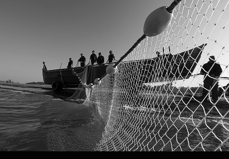 صیدهای غیرمجاز در خزر، چالشی جدی برای ذخایر آبزیان و مأموریتهای شیلات گیلان