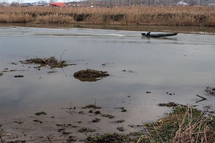 تکمیل تصفیهخانه، تالاب انزلی را نجات میدهد