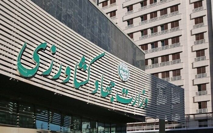 برداشت ۵۵ هزار تن پرتقال از باغ‌های آمل