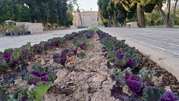 باغ جهان نما شیراز