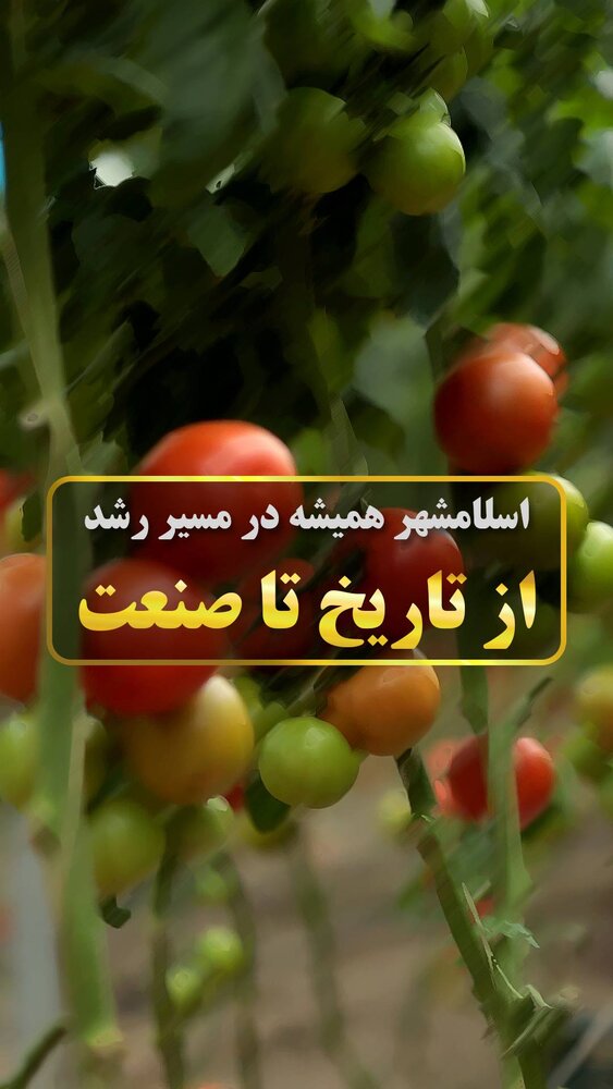 از تاریخ تا صنعت، اسلامشهر همیشه در مسیر رشد از تاریخ تا صنعت، اسلامشهر همیشه در مسیر رشد