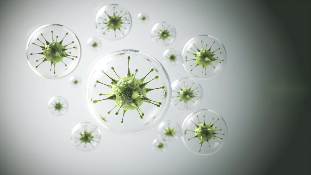 بهترین روشهای تقویت سیستم ایمنی بدن ( 8 توصیه لازم و کاربردی)