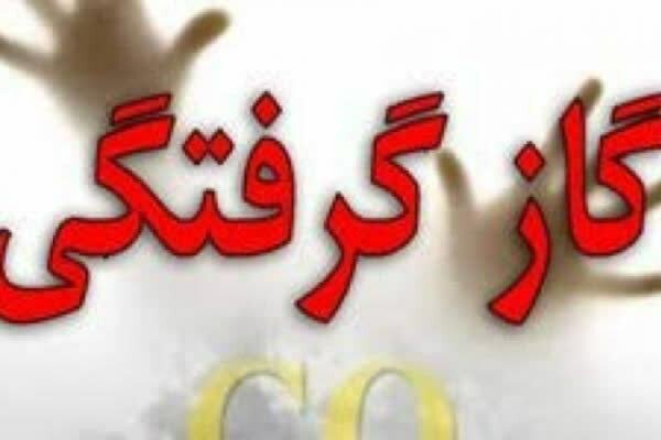 کاهش ۵۳ درصدی تلفات مسمومیت با گاز طی نه  ماه امسال/ هشدار در خصوص نیمه سرد سال