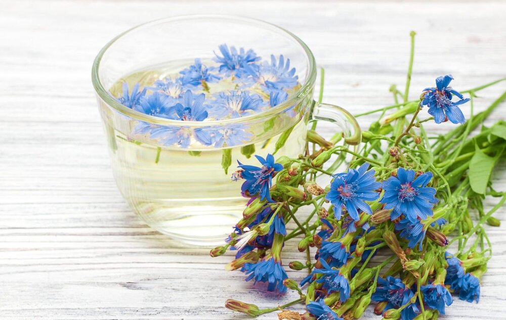 گیاهی فوقالعاده برای پاکسازی کبد گیاهی فوقالعاده برای پاکسازی کبد