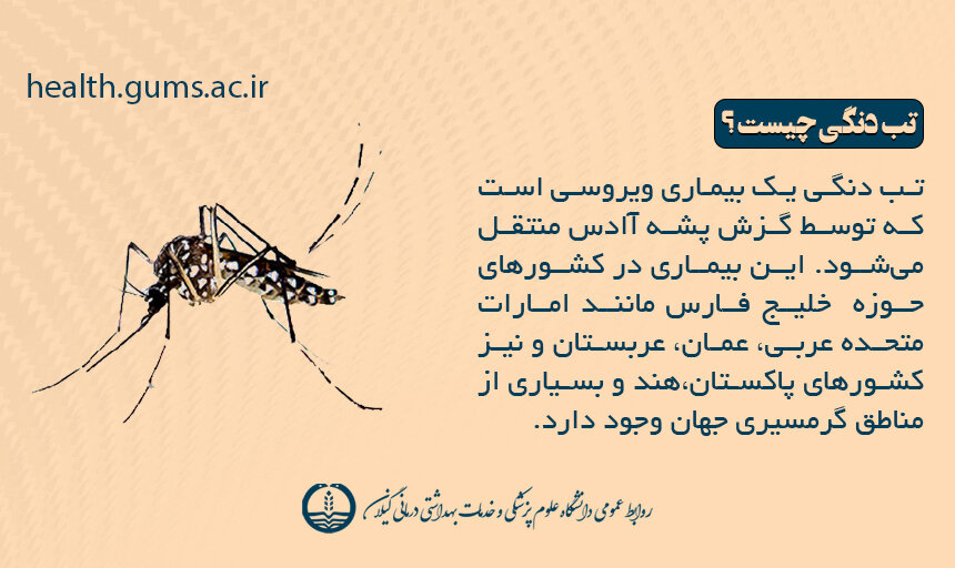 علایم، روش انتقال، درمان و تمام آنچه باید در مورد تب دِنگی باید بدانیم
