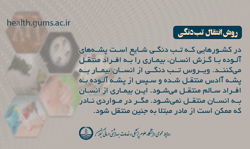 علایم، روش انتقال، درمان و تمام آنچه باید در مورد تب دِنگی باید بدانیم