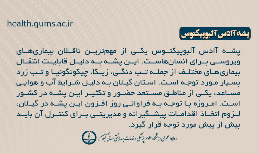 علایم، روش انتقال، درمان و تمام آنچه باید در مورد تب دِنگی باید بدانیم