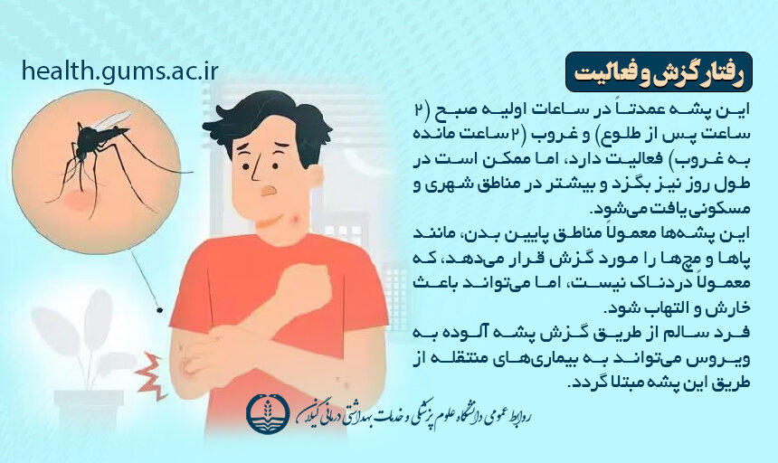 علایم، روش انتقال، درمان و تمام آنچه باید در مورد تب دِنگی باید بدانیم