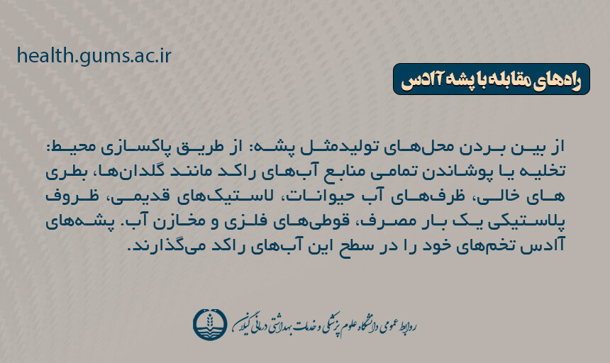 علایم، روش انتقال، درمان و تمام آنچه باید در مورد تب دِنگی باید بدانیم