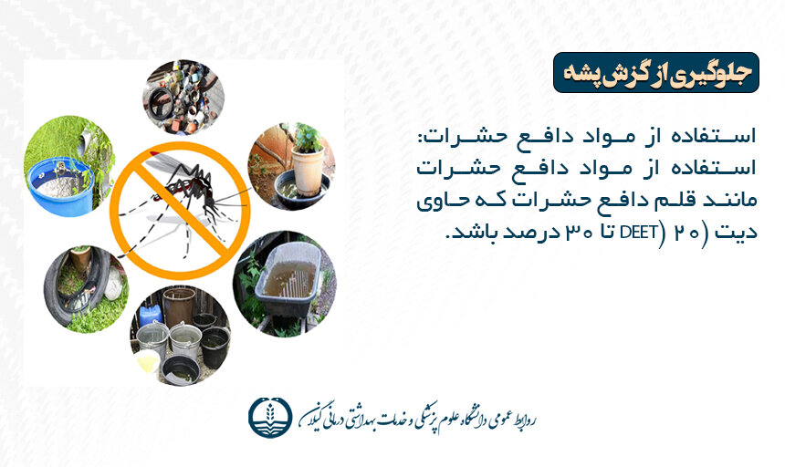 علایم، روش انتقال، درمان و تمام آنچه باید در مورد تب دِنگی باید بدانیم