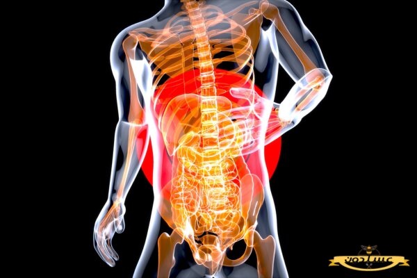 نقش عسل طبیعی در تعادل باکتری روده