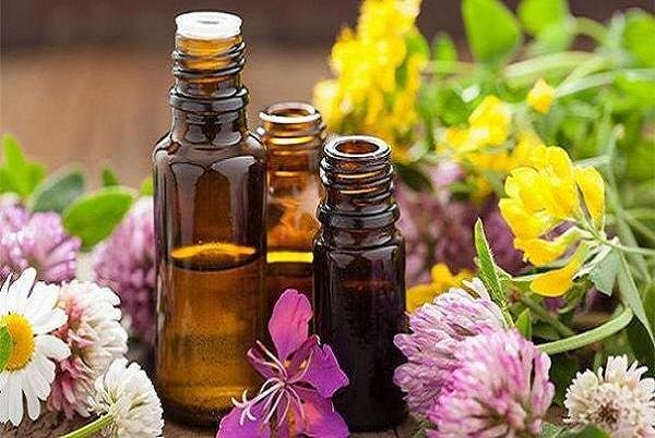 با مصرف این روغنها پیر نمیشوید با مصرف این روغنها پیر نمیشوید