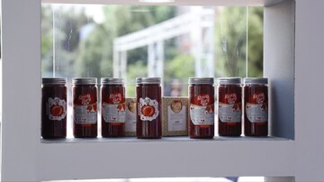 بازدید استاندار خراسان جنوبی از پاویون خوشه خشکبار استان در نمایشگاه اکسپو