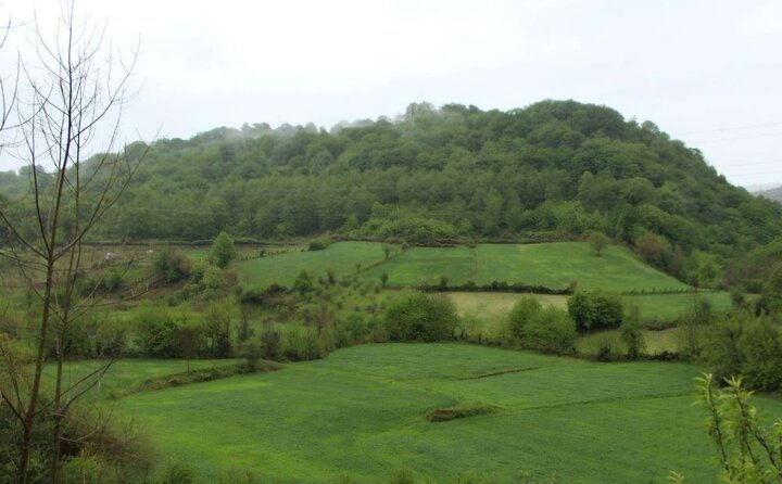 آزاد سازی بیش از 16هزار متر از اراضی ملی در روستای پرچینک شهرستان قائم شهر
