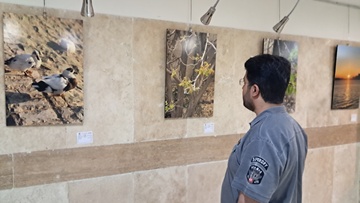 چهارمین نمایشگاه گروهی عکس همین حوالی