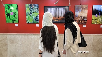 چهارمین نمایشگاه گروهی عکس همین حوالی