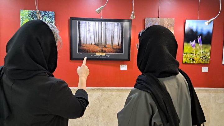 چهارمین نمایشگاه گروهی عکس همین حوالی