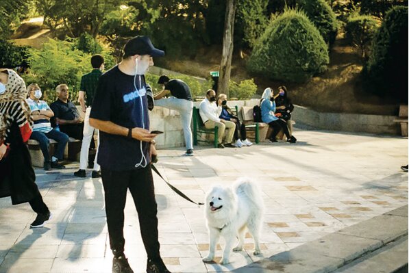 تهدیدی خاموش برای طبیعت گیلان