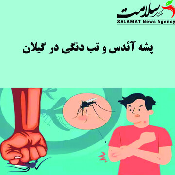 پشه آئدس و تب دنگی در گیلان