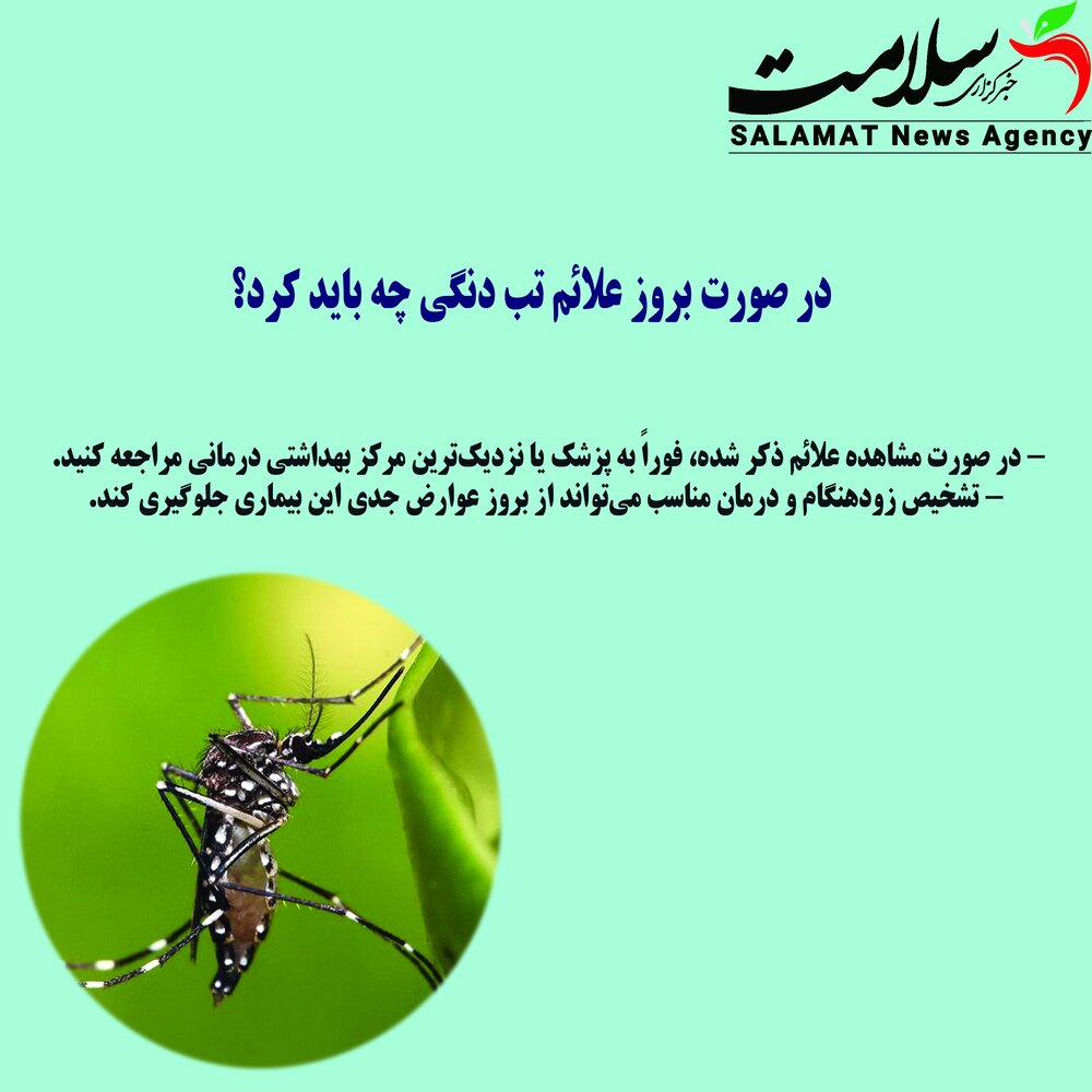 پشه آئدس و تب دنگی در گیلان