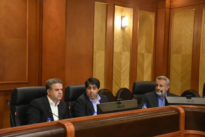 بررسی توانمندیها، مسائل ، مشکلات و چالشهای صنوف استان فارس 