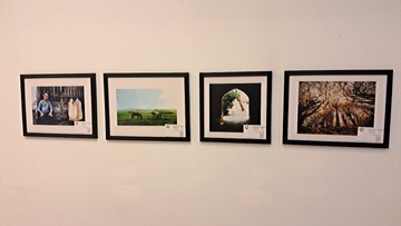 چهارمین نمایشگاه گروهی عکس فتوآرت