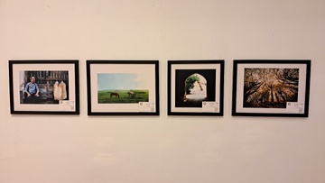 چهارمین نمایشگاه گروهی عکس فتوآرت