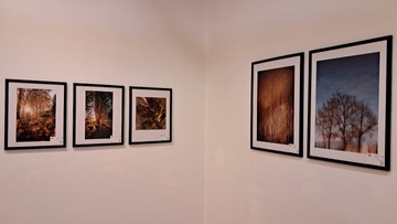 چهارمین نمایشگاه گروهی عکس فتوآرت