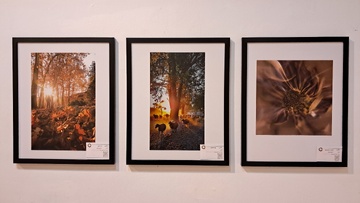 چهارمین نمایشگاه گروهی عکس فتوآرت