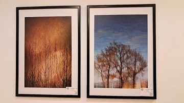 چهارمین نمایشگاه گروهی عکس فتوآرت