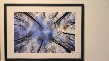 چهارمین نمایشگاه گروهی عکس فتوآرت