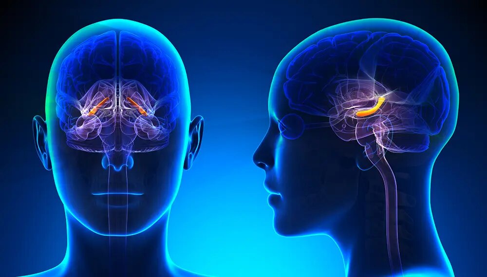 استرس شدید میتواند توانایی مغز در کنترل احساسات را مختل کند استرس شدید میتواند توانایی مغز در کنترل احساسات را مختل کند