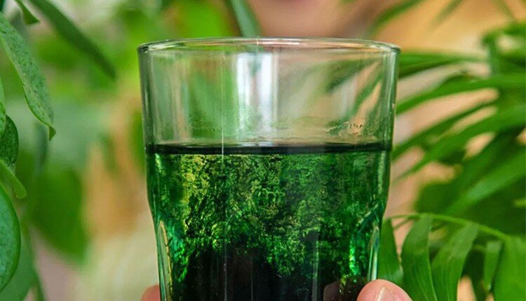 از بین بردن جوش برای همیشه با کلروفیل