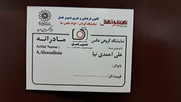 نمایشگاه گروهی عکس مادرانه