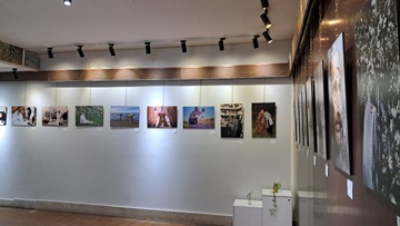 نمایشگاه گروهی عکس مادرانه