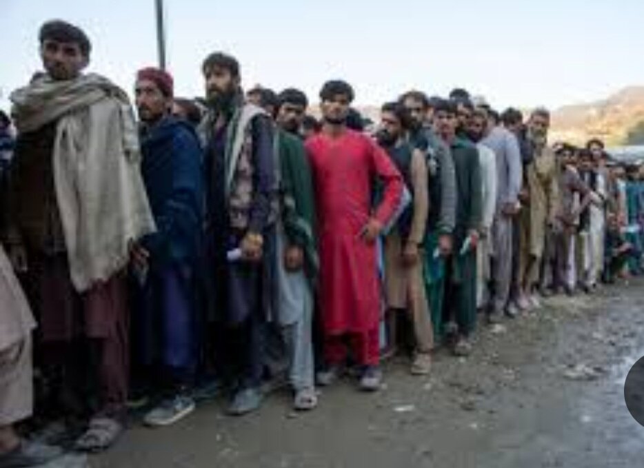 جمع آوری و طرد 993 نفر از اتباع غیر مجاز در عباس آباد