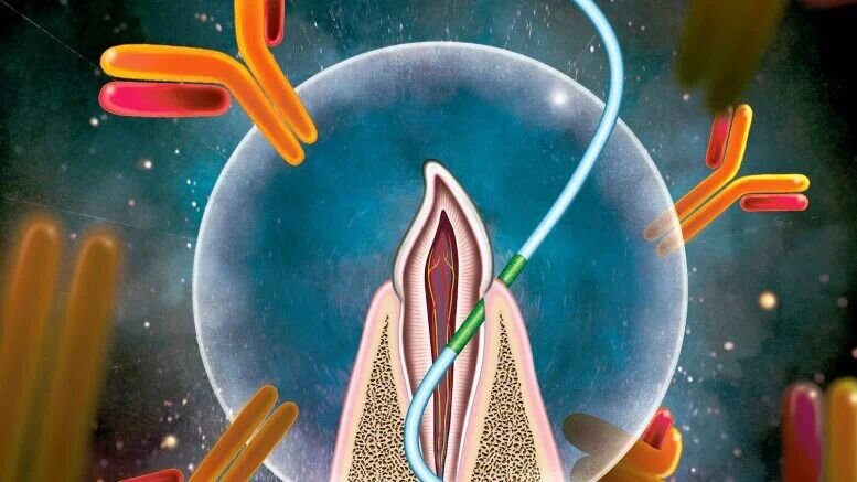 واکسیناسیون با نخ دندان جایگزین تزریق سوزنی