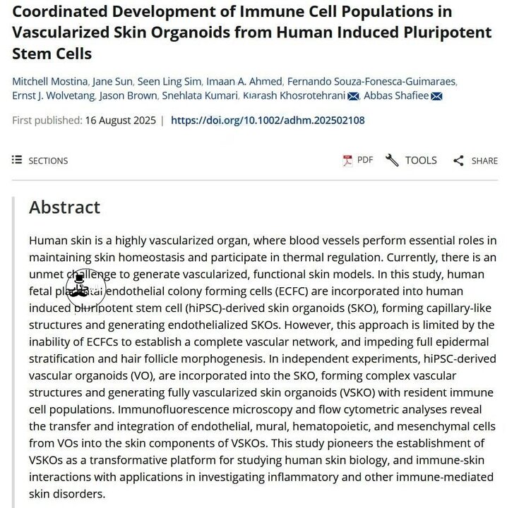 کشت موفق «پوست کامل» انسان در آزمایشگاه با مشارکت محققان ایرانی