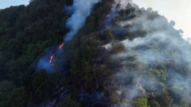 آتش‌سوزی در شیطان‌کوه لاهیجان مهار شد