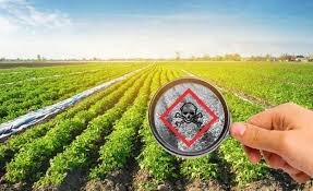 تولید محصولات سالم‌تر با کنترل بیولوژیک آفات در گیلان